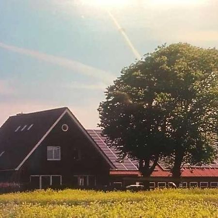 Higgen Adamla Lägenhet Stedesdorf Exteriör bild