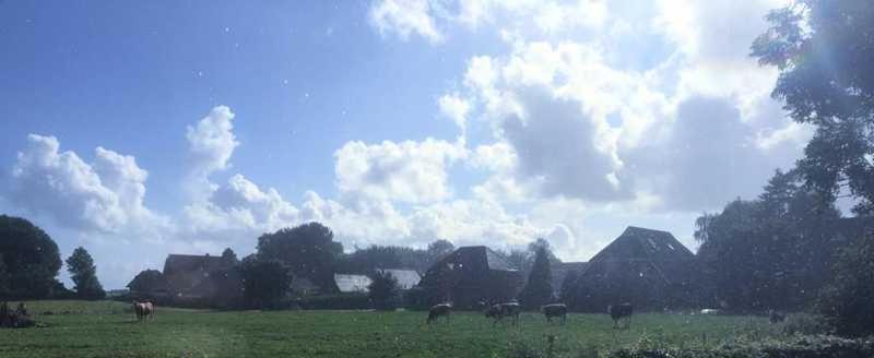 Higgen Adamla Lägenhet Stedesdorf Exteriör bild